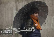 فیلم سینمایی «لاکپشت و حلزون» به اکران آنلاین آمد