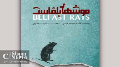 نمایش «موشهای بلفاست» به صحنه میآید